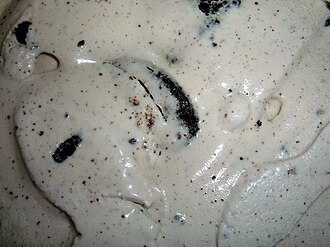 Cookies & Cream Cookies & Cream