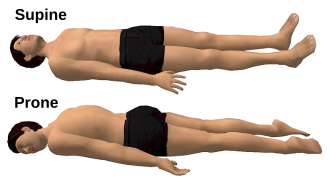 Back Sleeper
